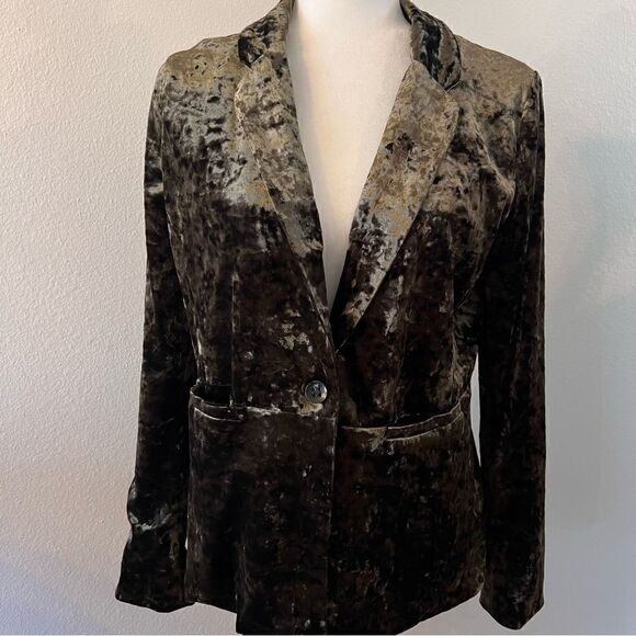 Sanctuary Blazer Velvet Size Small Moss Green Long Sleeve Button Front - Picture 1 of 10